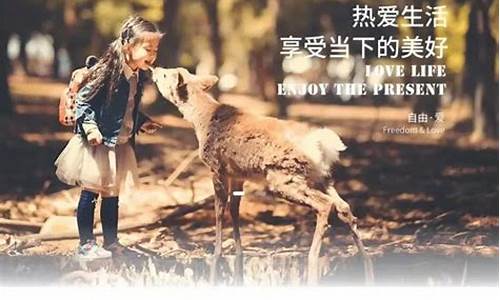 胖东来的黄金咋样_胖东来金价为啥便宜