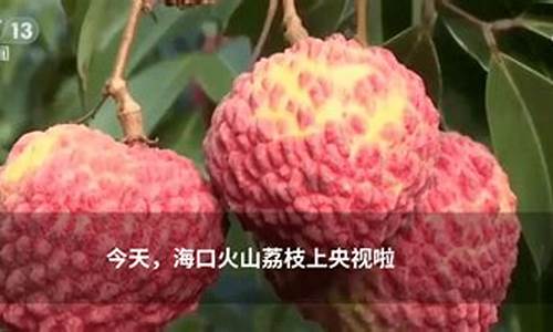 海南油价明天行情_海南油价明天行情最新